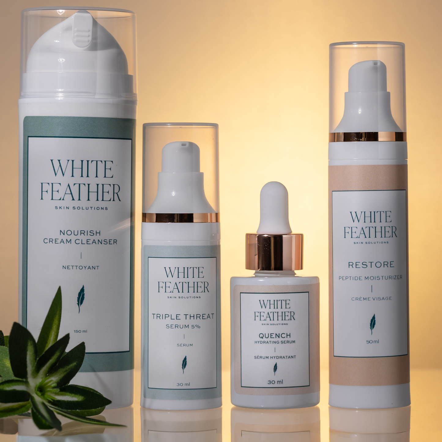Foundation Collection