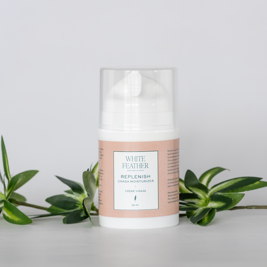 Replenish Chaga Moisturizer