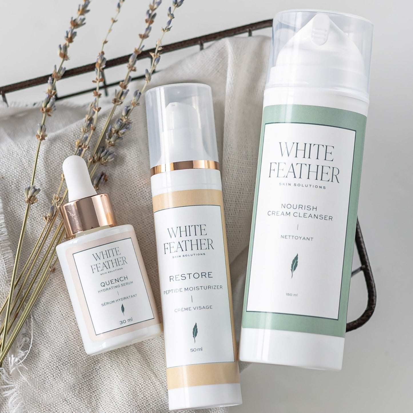 Foundation Collection
