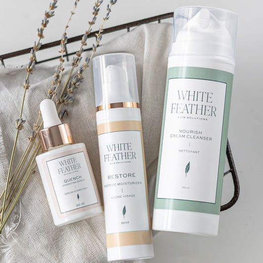 Foundation Collection